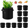 12-Pack 5 Gallon Plant Grow Bags, Thickened Nonwoven Fabric Pots with Handles, Vegetable Planter Bags Containers, Cloth Planters for Garden Vegetable/Flower/Plant/Fruits Outdoor (Black)