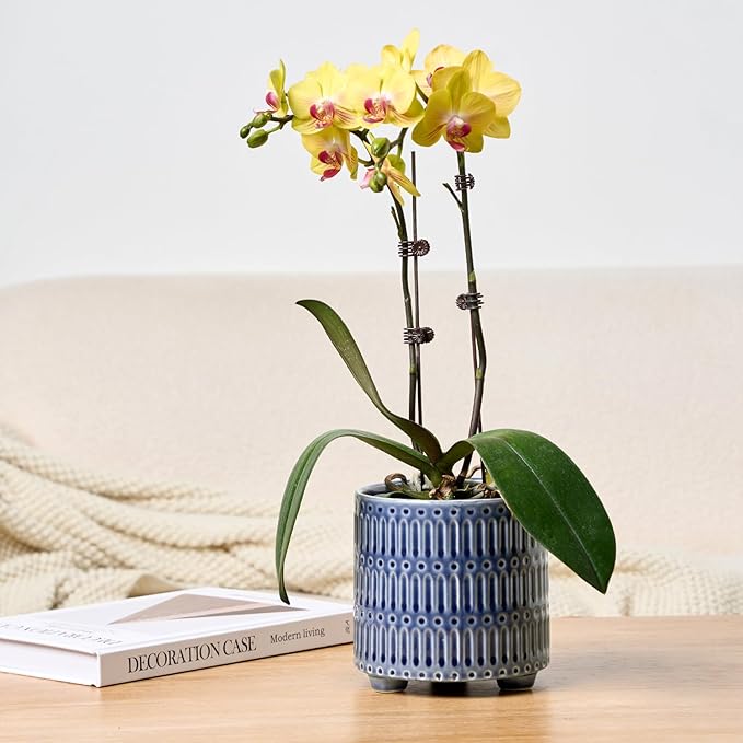 STHIE 5 Inch Ceramic Planters for Indoor Plants, Blue Cactus Snake Plant Pots with Drainage, Unique Design Round Flower Pot for Home Decoration