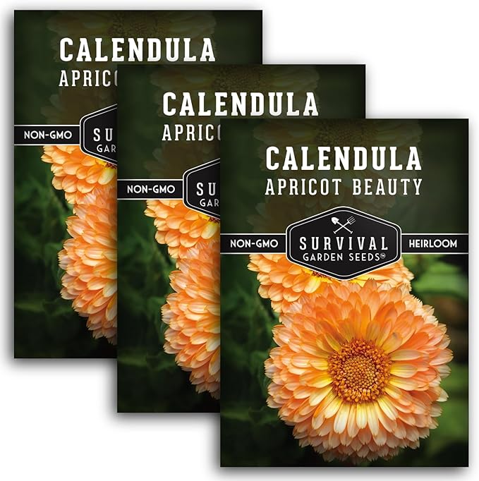 Apricot Beauty Calendula Seeds for Planting – Heirloom Flower with Soft Peach & Pastel Blooms – Edible Flowers, Medicinal Pot Marigold – Survival Garden Seeds (3 Packs)