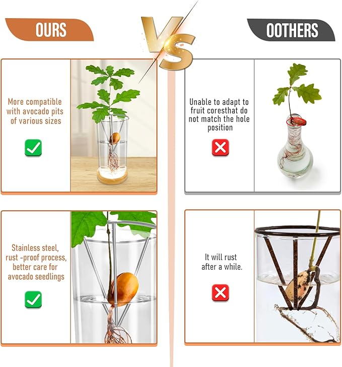 Glass Acorn Sprouting Seed Starter Vase - Acorns Tree Growing Kit with Base, Hydroponics Terrariums Pot Deco Indoor Unusual Gift for Gardening Lovers (Not Included Acorn