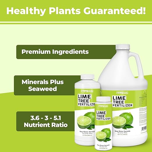 Lime Tree Fertilizer for All Lime and Citrus Trees, Liquid Plant Food 8 oz (250mL)