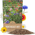 Sweet Yards - Northeast Wildflower Seed Regional Mixes - Bulk 1/4 Pound Bag - Over 30,000 Native Seeds - Open Pollinated and Non GMO Varieties for New York, Virginia, Pennsylvania, Maine and More!