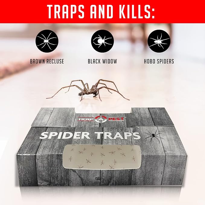 Spider Traps for Inside Your Home (30 Traps) - Spider Catcher Insect Traps Indoor - Spider Traps Indoor Bug Traps Sticky Traps for Spiders - Pre Baited Ultra Sticky Insect Glue Traps - Trap a Pest