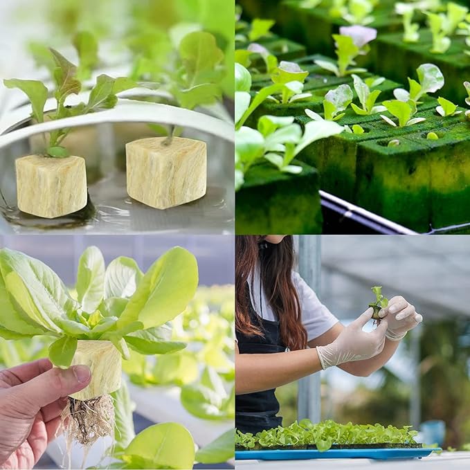 Legigo 2 Inch Rockwool Cubes for Hydroponics Seed Starter, Rock Wool Planting Cubes Hydroponic Garden Grow Plugs for Soilless Cultivation Plants Cutting Germination Clone(2 Sheet, 96 Plugs)