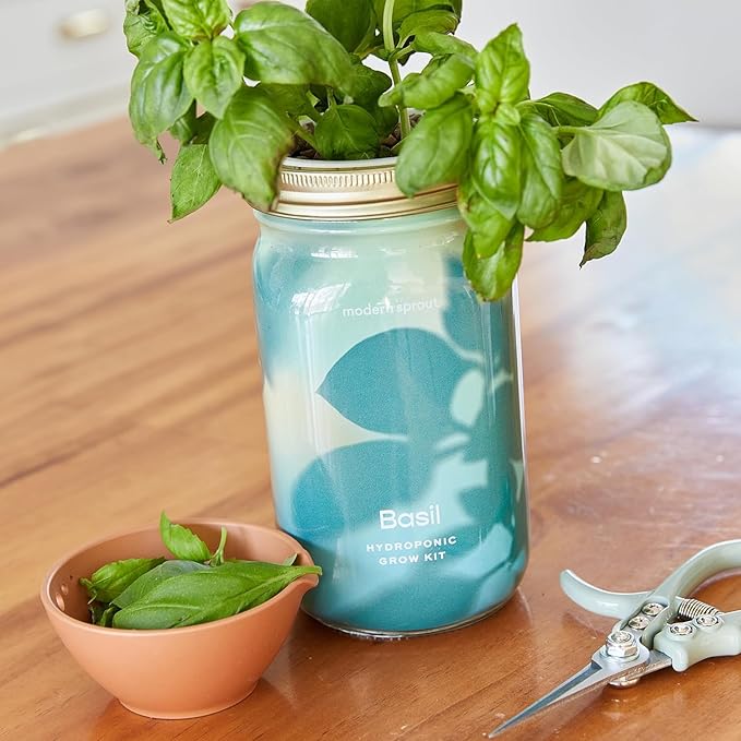 Modern Sprout Mason Garden Jar + Replant Kit -Self-Watering Hydroponics Growing System Kit w/Organic Herb Seeds - Sprouting Jar Planter for Indoor Herb Garden - Seed Starter -Home Decor Gifting -Basil