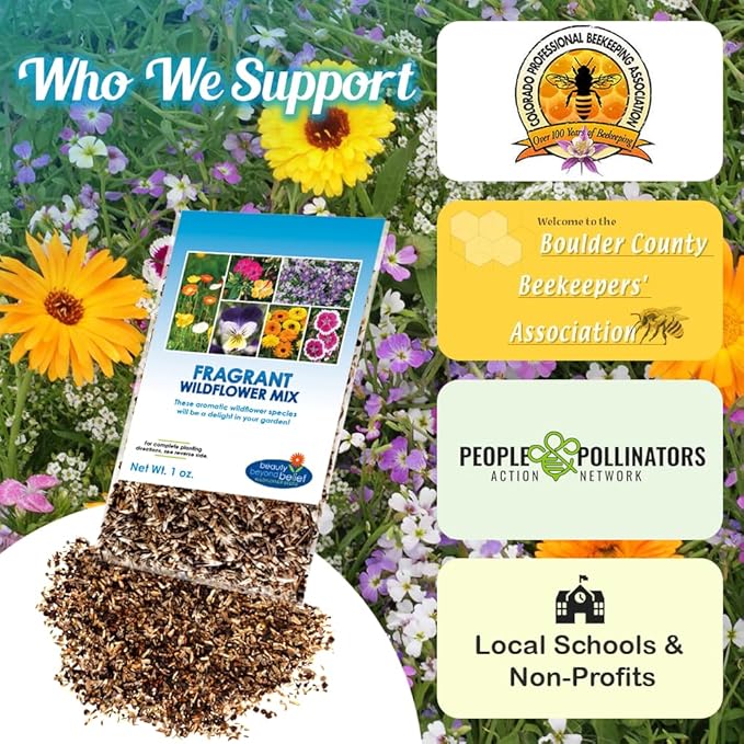 Fragrant Wildflower Seeds Mix - 1oz, Aromatic Annual and Perennial Wildflower Seeds – Create The Perfect Garden.