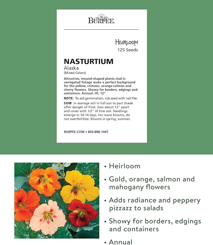 Burpee Alaska Mix Nasturtium Seeds 125 seeds