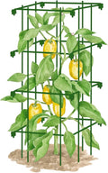 Gardeners Supply Company Pepper and Eggplant Cages Plant Stand | Heavy Gauge Sturdy Garden Plants Support for Eggplants Peppers and Other Climbing Plants | No Assembly Needed | Green 24"H (Set of 3)