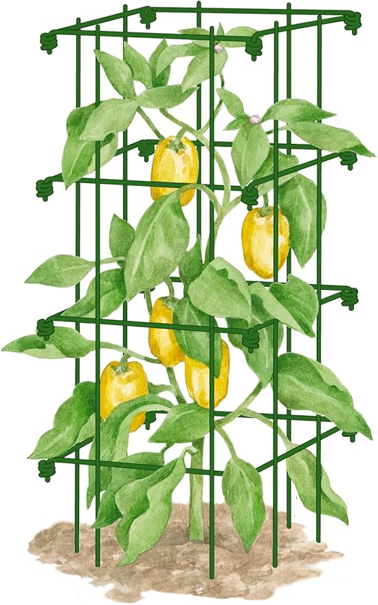 Gardeners Supply Company Pepper and Eggplant Cages Plant Stand | Heavy Gauge Sturdy Garden Plants Support for Eggplants Peppers and Other Climbing Plants | No Assembly Needed | Green 24"H (Set of 3)