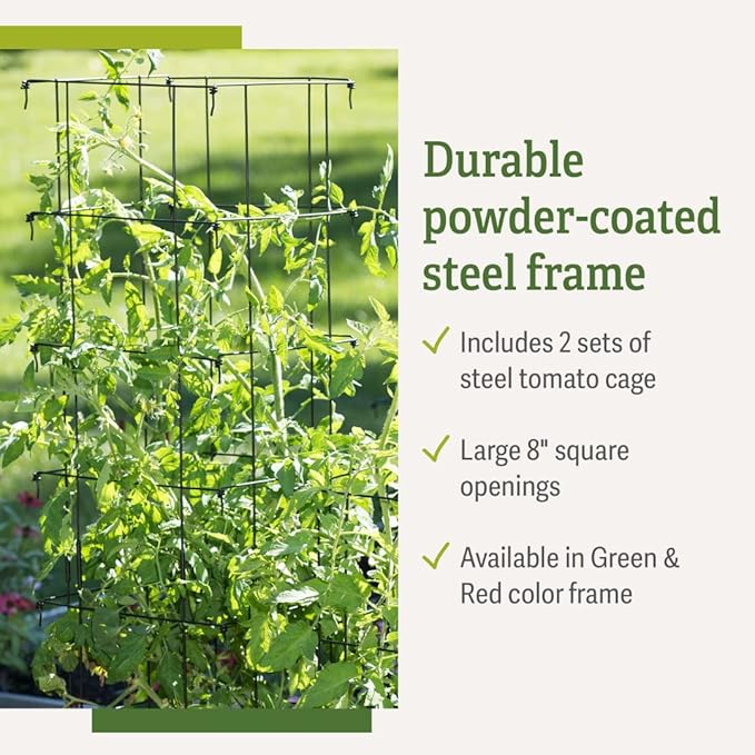 Gardener’s Supply Company Extra Tall Heavy-Guage Square Tomato Cages | Easy Fold Plant Supports & Vegetable Garden Stakes | 14.25" x 14.25" x 65" - Green (Set of 2)