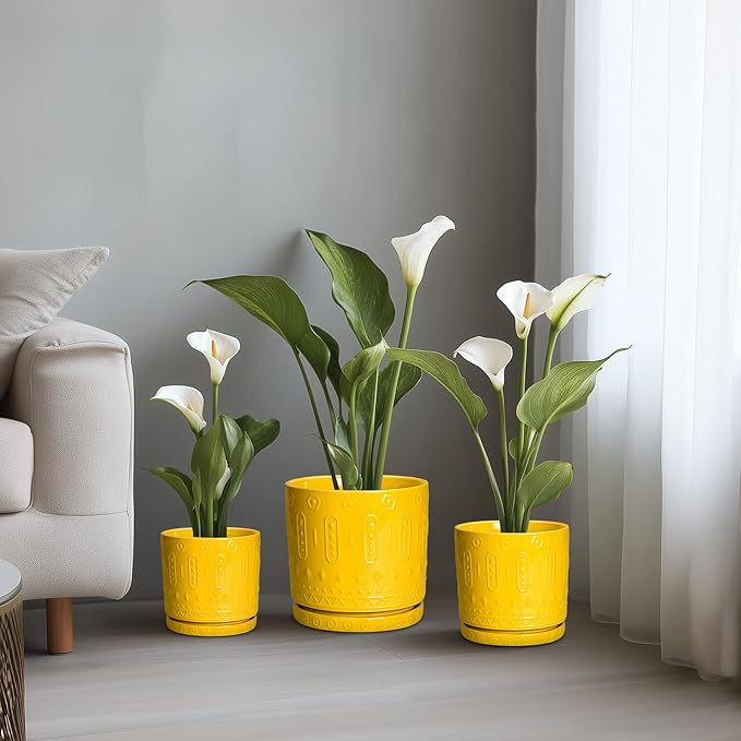 Eightpot Ceramic Flower Pots, 12 Inch Plant Pot with Drainage Holes and Saucers, Round Pots for Plants for Indoor Outdoor, Boho Decorative Planter, Garden House Decor, Gifts for Women, Yellow