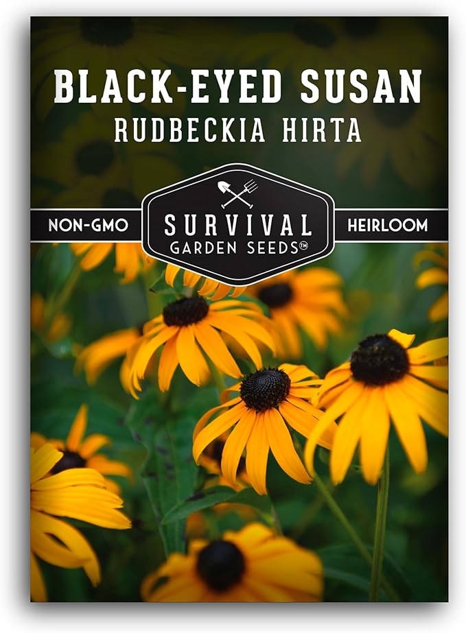 Black-Eyed Susan Seeds for Planting Outdoors - Perennial Native Wildflower - Heirloom Rudbeckia Hirta for Pollinator Gardens - Survival Garden Seeds (1 Pack)