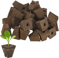 M METERXITY 20-Pack Grow Sponges, 1.5x0.8x1.5 Inch Replacement Root Growth Sponges Seed Pods for Plant Rooting/Seed Germination/Hydroponic Gardens System Supplies, Starter Plug for Seeds