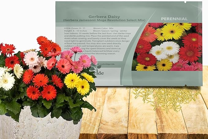 Outsidepride Revolution Select Mix Gerbera Seeds - 20 Pcs Perennial, Compact & Low Maintenance, Flower Seeds for Planting w/Vibrant Blooms, Ideal for Garden Landscaping & Cut Flower Arrangements
