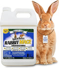 Nature’s MACE Rabbit Mace, Rabbit Repellent for Outdoors, 1 Gallon Concentrate, Covers 2 Acres, Rabbit Deterrent Spray for Lawn, Yard, Garden, Landscape, Safe to Use Around People, Pets, & Plants