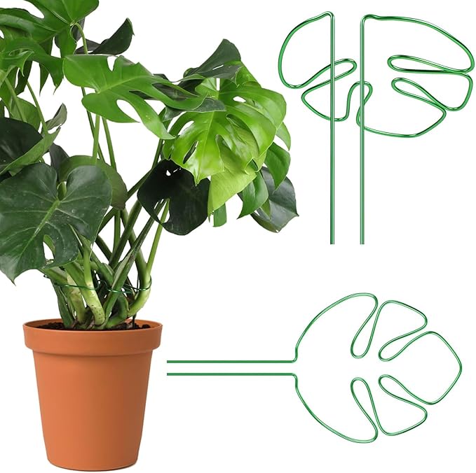 2 pcs Monstera Plant Support,Unique Monstera Shaped Plant Support Ring,Plant Support Stakes for Outdoor Plants and Indoor Plants (Green)