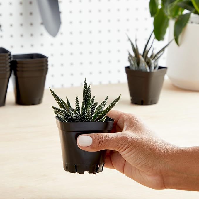 Juvale Square Nursery Pots - Seedling Planters with Drainage Holes - Versatile Pots for Plants & Succulents - Space-Saving Stackable Planters - 2.6 in, Pack of 300, Black