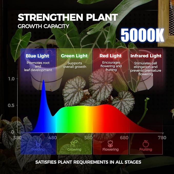 Barrina LH750 Pegboard Indoor Greenhouse with Grow Light, Plant Cabinet with 90W 5000K Full Spectrum Lamps, 3 Adjustable Pegboards, Timer, Wheel, for Foliage Plant, Seedling, 29.5x13.8x67.9IN