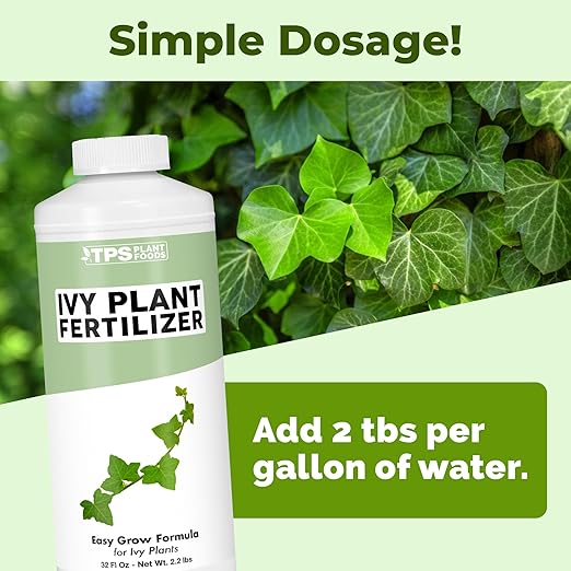 Ivy Plant Food, Complete Liquid Ivy and Vine Plant Ferilizer, 32 oz (1 Quart)
