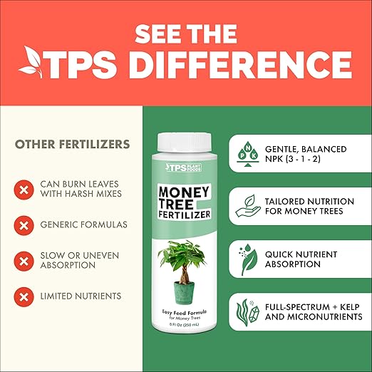Money Tree Fertilizer for Money Trees and All Pachira Plants, Liquid Plant Food, 32 oz (1 Quart)