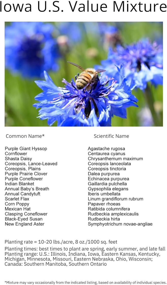 Iowa Bulk Perennial Wildflower Seed Mix 1lb Covers 2,000sq-ft - Attract Pollinators, Multi-Color Blooms - Midwest US Species Plant in Spring/Fall - Earth-Friendly Packaging (1 Pound)