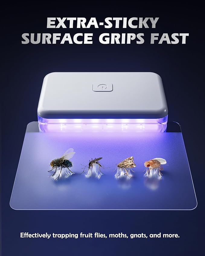 3 Pcs Fruit Fly Traps for Indoors (3 Device+20 Refills) Plug in Fly Trap for Gnats, Fruit Flies, Flying Insects Sleek Design Indoor Safe