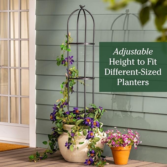 Evergreen Metal Garden Obelisk Trellis for Climbing Plants Outdoor, Indoor Plant Trellis for Potted Plants, Floral Pattern Arch Trellis (Black, 7 ft. Round)