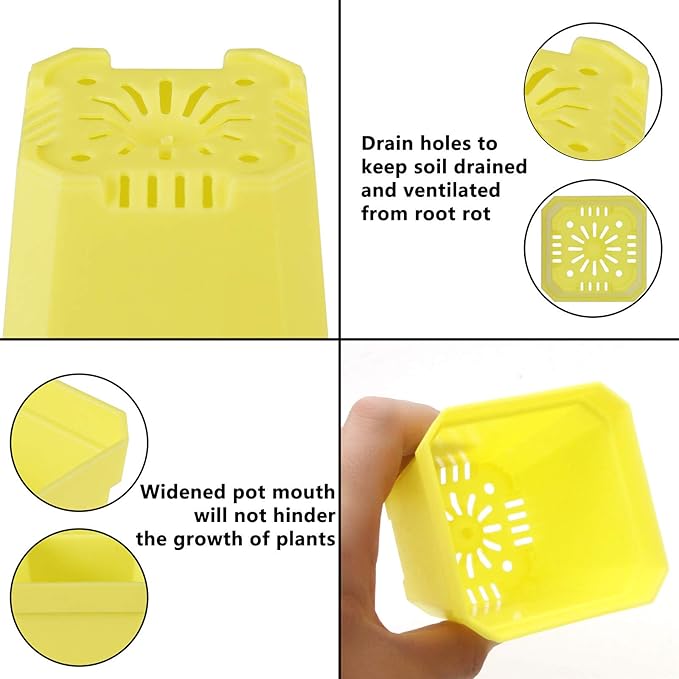 foxany 30 Pcs 3" Plants Nursery Pot, Thick Plastic Square Colorful Flower Planting Pots, Plant Seedling Pots, Seed Starting Pots with Saucers - Multi 30 Pcs