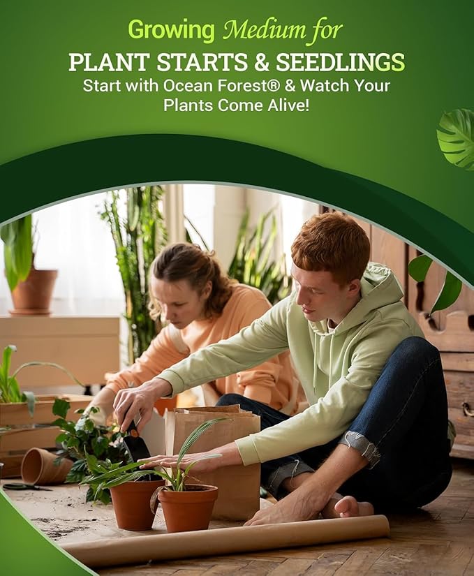 FoxFarm Ocean Forest Potting Soil with 2 Plant Tags, 12 Quarts - Light, Aerated Texture with Fish Meal, Crab Meal, Earthworm Castings - Houseplant Potting Mix for Seedlings & Plant Starts