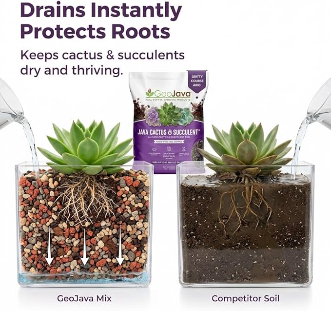 Java Cactus & Succulent Soil: A Gritty, Fast‑Draining, Peat-Free, Ready‑to‑Use Potting Mix for Cacti & Succulents -Keeps Roots Well Aerated for Indoor Pots & Plants. USA Made (6QT)