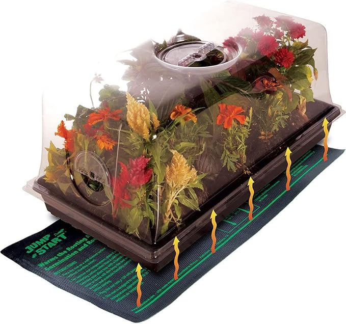 Jump Start CK64060 120V 17W Germination Hot House with Heat Mat, Watertight Tray, Cell Insert and 7" Humidity Dome