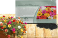 Outsidepride Mixed Moss Rose Seeds - 500 Pcs Annual, Drought & Heat Tolerant, Pollinator Friendly Ground Cover Seeds for Planting w/Vibrant Blooms & Succulent Foliage, Ideal for Xeriscaping