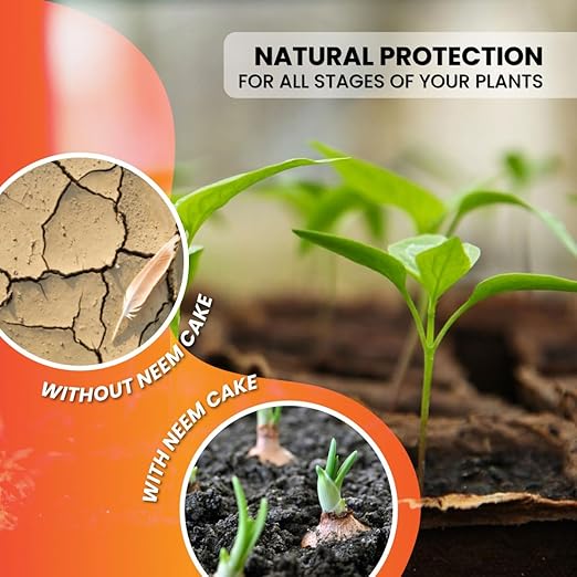 Premium Neem Cake, Natural Fertilizer for Gardening and Soil Amendment (2LB)