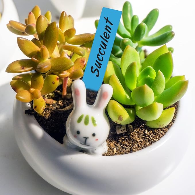 KINGLAKE GARDEN 200PCS 4 Inch Plastic Plant Labels Plant Name Tags,Colorful Garden Marker Vegetable Gardening Tags Nursery Plant Tag for Outdoor Garden Waterproof with Permanent Marking Pen