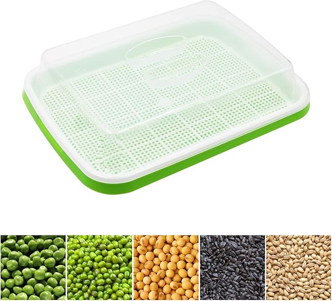 5 Layers Seed Starter Kit - Seed Sprouter Trays with Clear Lid & Stainless Steel Shelf, Soil-Free Germination Trays for Indoor/Outdoor Microgreens, Wheatgrass Mung Beans Cat Grass & Seedling Growing