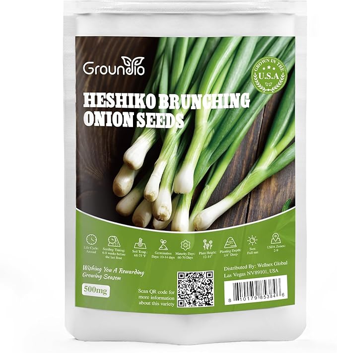 Heshiko Bunching Green Onion Seeds - Non-GMO Heirloom Seeds for Planting Indoor Containers or Outdoor Garden, Instructions Included