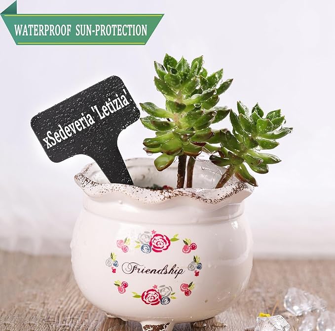 Whaline 100 Pcs Plastic Plant Labels Black T-Type Garden Stake Tags Waterproof Plant Markers Reusable Plant Signs for Outdoor Indoor Nursery Potted Plants Seed with A White Marker Pen (6 x 10 cm)