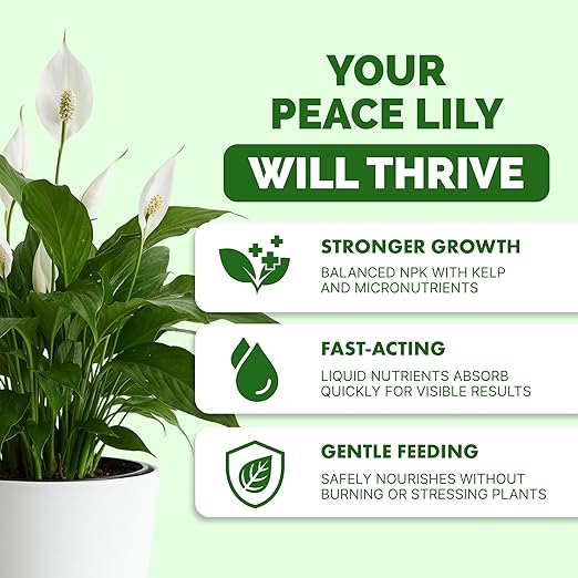 Peace Lily Fertilizer – Liquid Peace Lily Plant Food for Indoor Plants, Supports Blooming & Healthy Growth, 8 oz