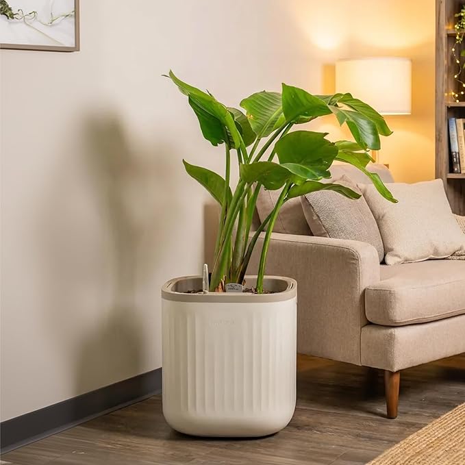 15 Inch Self-Watering Planter for Indoor Plants – Large Modern Plant Pot with Built-In Water Reservoir, Ideal for Monstera, Fiddle Leaf Fig, Palms & Peace Lily, Without Trellis, Cream White