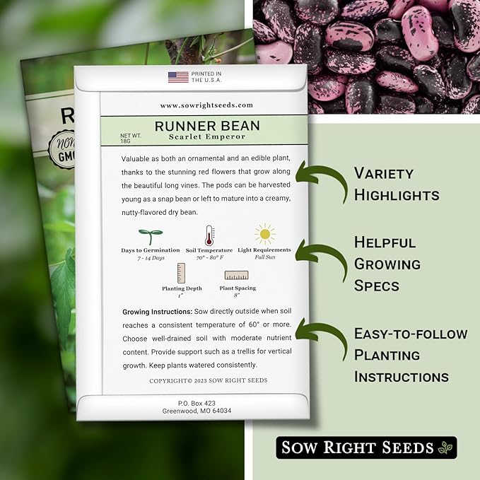 Sow Right Seeds - Scarlet Emperor Runner Bean Seeds for Planting - Non-GMO Heirloom Packet with Instructions to Plant & Grow an Outdoor Home Vegetable Garden - Tall and Fast Growing Vining (2)