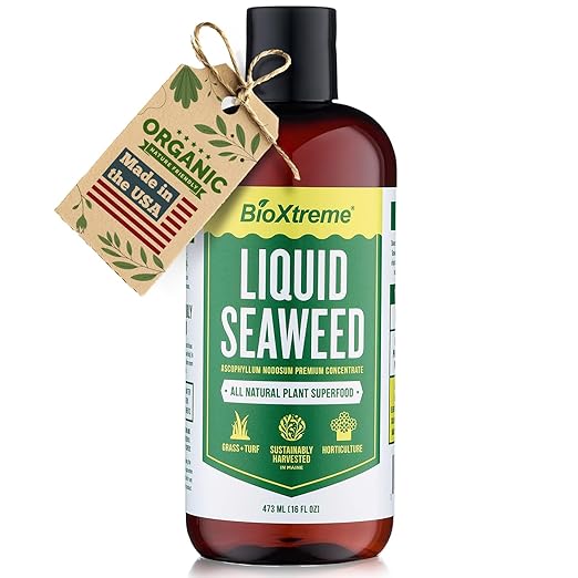 Liquid Seaweed Premium Concentrate – Undiluted Kelp Extract with No Fillers or Colorants – All Natural Fertilizer for Plant & Flower Growth Seed Germination & Root Development – 16 Oz