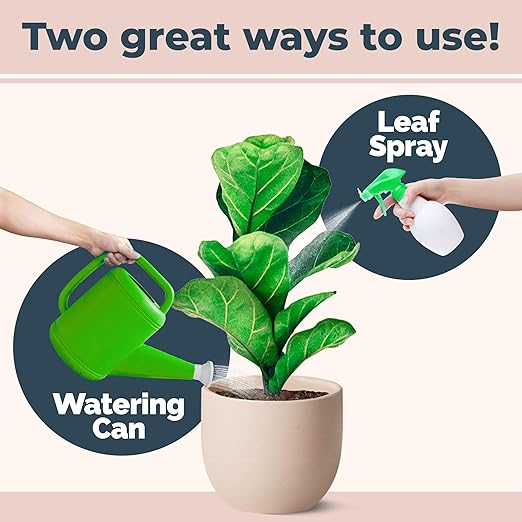 Fiddle Leaf Fig Plant Food for All Fig and Other Ficus Trees, Liquid Houseplant Fertilizer, 32 oz (1 Quart)