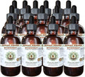 Hawaii Pharm Buckwheat Alcohol-Free Liquid Extract, Buckwheat (Fagopyrum Esculentum) Dried Sprouting Seed Glycerite Natural Herbal Supplement 15x4 oz