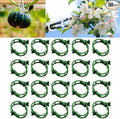 Plant Support Clips Reusable Garden Clips, Secured Plastic Plant Clips, Tomato Support Clips for String Trellis for Climbing Plants Outdoor Indoor Plant Flowers Stem Vine Fixing Clips (50, Green)