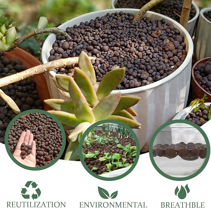 6LBS Leca Expanded Clay Pebbles Hydroponics Supplies for Indoor Garden Plants (6LBS)