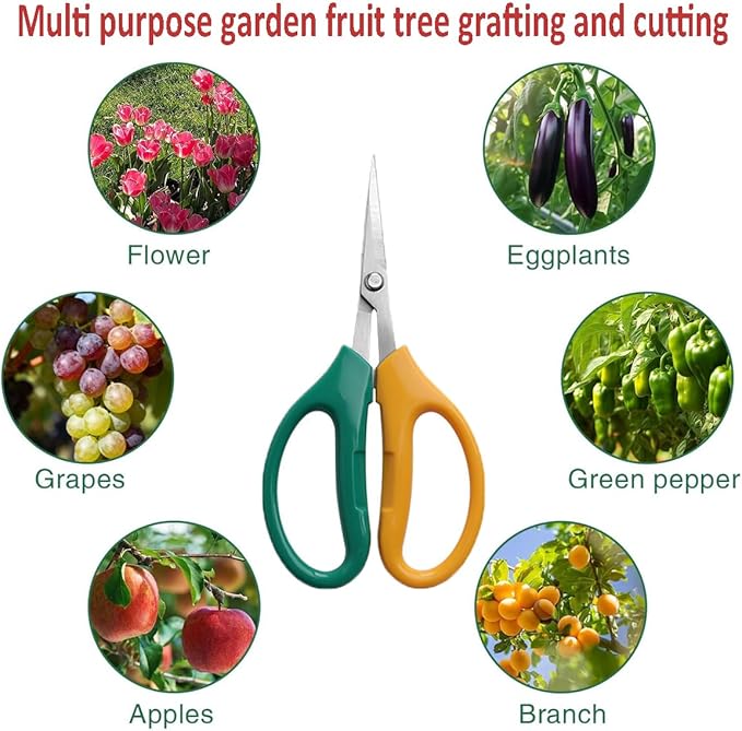 Garden Scissors, Stainless Steel Garden Bonsai Pruning Shears, Anti-Slip Softgrip SnipGardening Tools Garden Shears for Plants Herb (Modern)