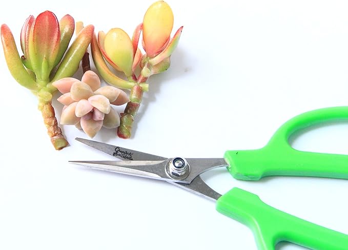 Gardening Scissors For Succulents