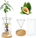 Avocado Tree Growing Kits, Avocado Growing Vase Wooden Base Avocado Seed Starter Vase Glass Plant Pot Easy Seed Sprout Starter Gift for Women Gardening Lovers Home Office Table Decoration