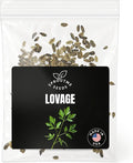 Lovage Seeds for Planting – 200+ Non-GMO Heirloom Seeds, Culinary Herb with Celery Flavor, Levisticum officinale
