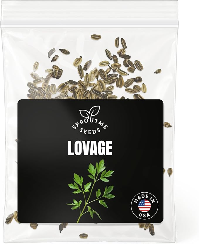 Lovage Seeds for Planting – 200+ Non-GMO Heirloom Seeds, Culinary Herb with Celery Flavor, Levisticum officinale